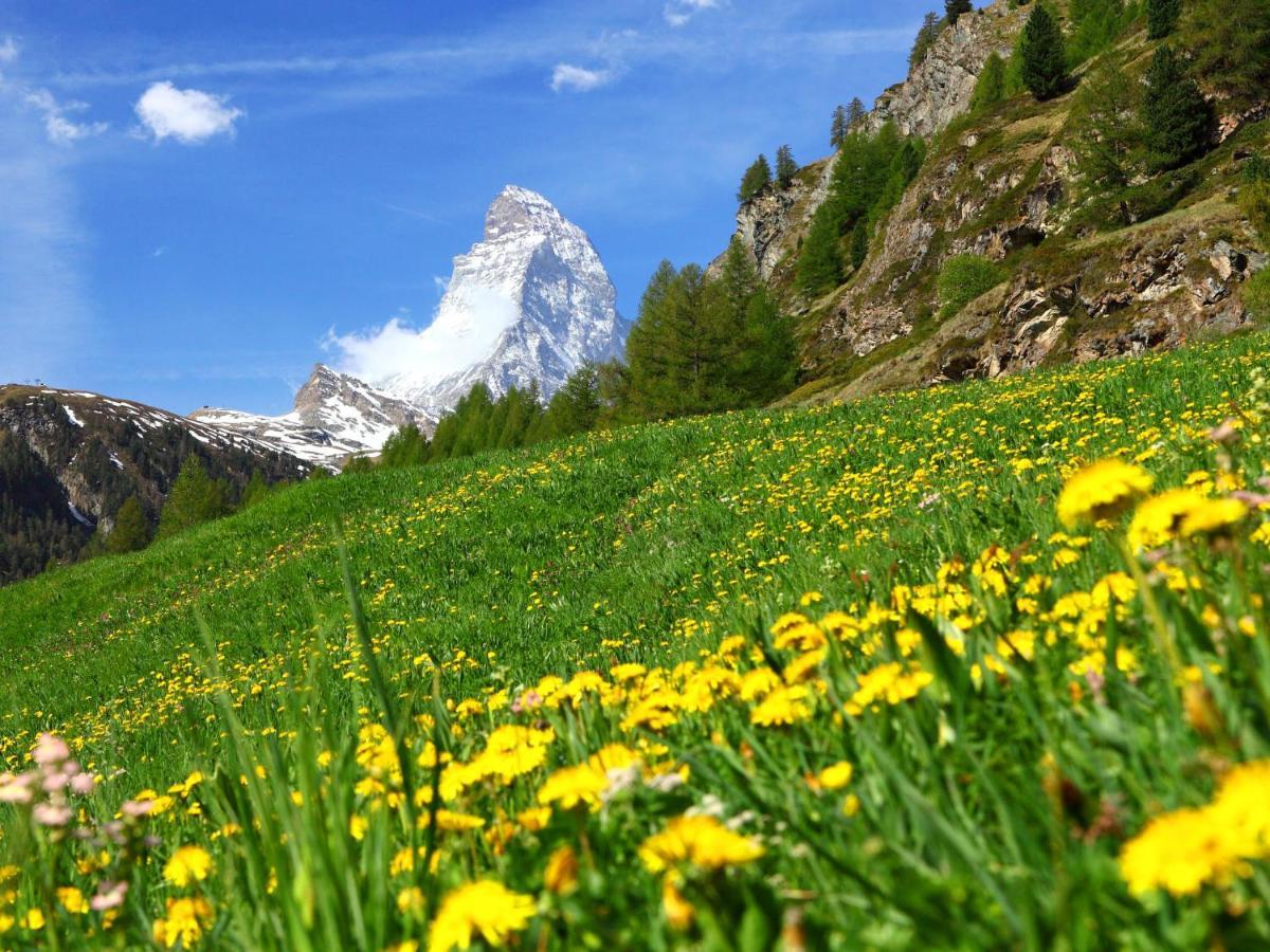 Studio Silence-4 By Interhome Zermatt Zewnętrze zdjęcie